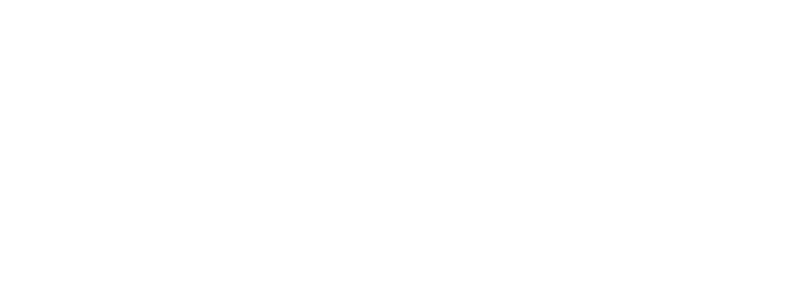 Safe® Insurance